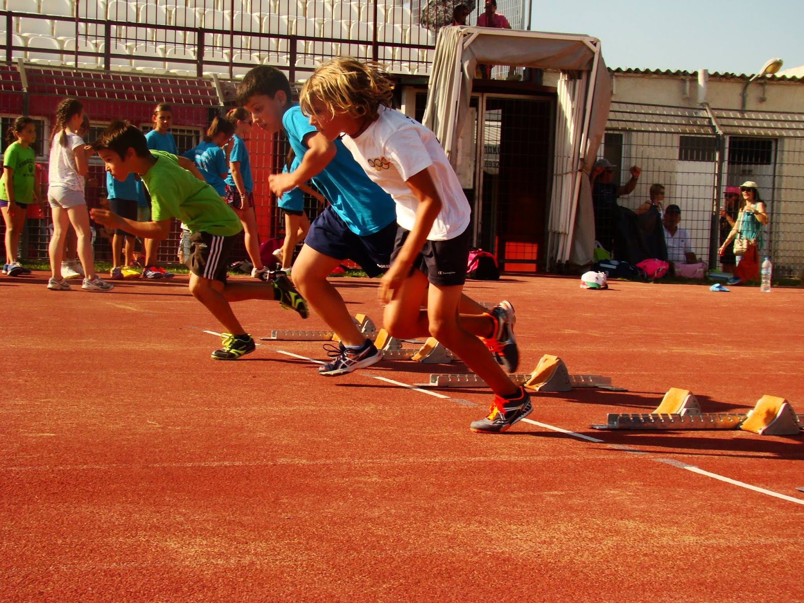 923400931052949 1107071338 o