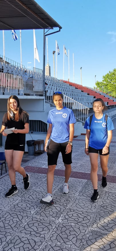 diasyllogiko a g (29)