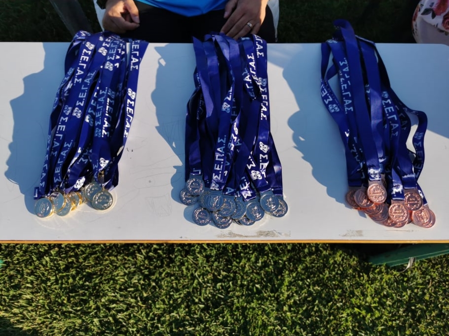 diasyllogiko a g (40)